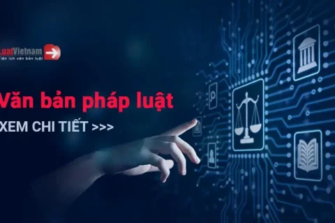9295e23b-df5d-4c97-b95e-7e49dce1f1f9