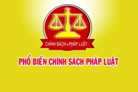 ec7c3b03-abd4-4bb4-9c91-931e0ccfb92b